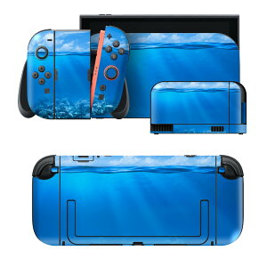 igsticker Nintendo Switch 2 �p �X�L���V�[�� �{�́E�h�b�N�EJoy-Con 2 �Ή� 4�ʃZ�b�g �������� �ی� �C�@��@�i�F 000071