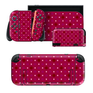igsticker Nintendo Switch 2 �p �X�L���V�[�� �{�́E�h�b�N�EJoy-Con 2 �Ή� 4�ʃZ�b�g �������� �ی� ���ʁ@�h�b�g�@���@�� 000105