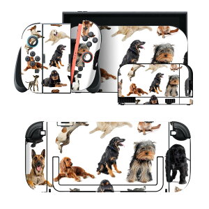igsticker Nintendo Switch 2 �p �X�L���V�[�� �{�́E�h�b�N�EJoy-Con 2 �Ή� 4�ʃZ�b�g �������� �ی� ���@���� 000911