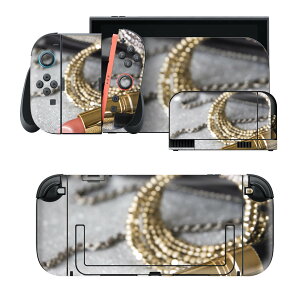 igsticker Nintendo Switch 2 �p �X�L���V�[�� �{�́E�h�b�N�EJoy-Con 2 �Ή� 4�ʃZ�b�g �������� �ی� ���C�N�@������ 000949