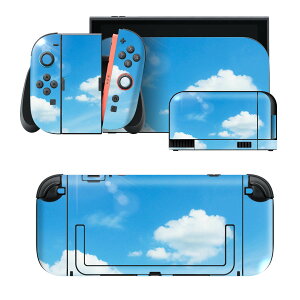 igsticker Nintendo Switch 2 �p �X�L���V�[�� �{�́E�h�b�N�EJoy-Con 2 �Ή� 4�ʃZ�b�g �������� �ی� ��@�_ 000959