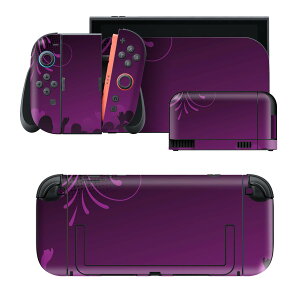 igsticker Nintendo Switch 2 �p �X�L���V�[�� �{�́E�h�b�N�EJoy-Con 2 �Ή� 4�ʃZ�b�g �������� �ی� �N���u�@�_���X 001066