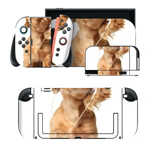 igsticker Nintendo Switch 2 �p �X�L���V�[�� �{�́E�h�b�N�EJoy-Con 2 �Ή� 4�ʃZ�b�g �������� �ی� ���@�_�b�N�X�t���g�@���� 001245