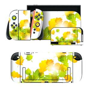 igsticker Nintendo Switch 2 �p �X�L���V�[�� �{�́E�h�b�N�EJoy-Con 2 �Ή� 4�ʃZ�b�g �������� �ی� �g�t�@�H�@��� 001277