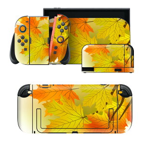 igsticker Nintendo Switch 2 �p �X�L���V�[�� �{�́E�h�b�N�EJoy-Con 2 �Ή� 4�ʃZ�b�g �������� �ی� �g�t�@�H 001288