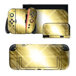 igsticker Nintendo Switch 2 �p �X�L���V�[�� �{�́E�h�b�N�EJoy-Con 2 �Ή� 4�ʃZ�b�g �������� �ی� �͗l�@���F�@�O���[ 001958