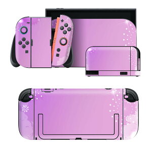 igsticker Nintendo Switch 2 �p �X�L���V�[�� �{�́E�h�b�N�EJoy-Con 2 �Ή� 4�ʃZ�b�g �������� �ی� �ԁ@�@�� 002004