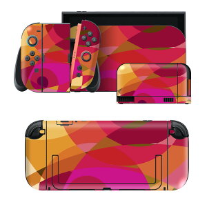 igsticker Nintendo Switch 2 �p �X�L���V�[�� �{�́E�h�b�N�EJoy-Con 2 �Ή� 4�ʃZ�b�g �������� �ی� �͗l�@�s���N�@�� 002044