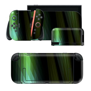 igsticker Nintendo Switch 2 �p �X�L���V�[�� �{�́E�h�b�N�EJoy-Con 2 �Ή� 4�ʃZ�b�g �������� �ی� �͗l�@�� 002239