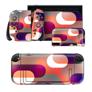 igsticker Nintendo Switch 2 �p �X�L���V�[�� �{�́E�h�b�N�EJoy-Con 2 �Ή� 4�ʃZ�b�g �������� �ی� �͗l�@�J���t�� 002394