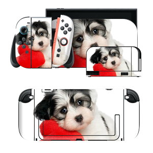 igsticker Nintendo Switch 2 �p �X�L���V�[�� �{�́E�h�b�N�EJoy-Con 2 �Ή� 4�ʃZ�b�g �������� �ی� ���@�����@�ʐ^ 002793