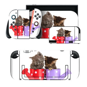 igsticker Nintendo Switch 2 �p �X�L���V�[�� �{�́E�h�b�N�EJoy-Con 2 �Ή� 4�ʃZ�b�g �������� �ی� �L�@�����@�ʐ^ 002882