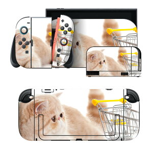 igsticker Nintendo Switch 2 �p �X�L���V�[�� �{�́E�h�b�N�EJoy-Con 2 �Ή� 4�ʃZ�b�g �������� �ی� �L�@�����@�ʐ^ 002908
