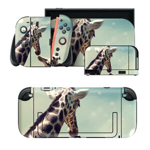 igsticker Nintendo Switch 2 �p �X�L���V�[�� �{�́E�h�b�N�EJoy-Con 2 �Ή� 4�ʃZ�b�g �������� �ی� �����@�ʐ^ 002922