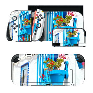 igsticker Nintendo Switch 2 �p �X�L���V�[�� �{�́E�h�b�N�EJoy-Con 2 �Ή� 4�ʃZ�b�g �������� �ی� �ʐ^�@�i�F�@���i 002926