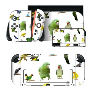 igsticker Nintendo Switch 2 �p �X�L���V�[�� �{�́E�h�b�N�EJoy-Con 2 �Ή� 4�ʃZ�b�g �������� �ی� ���@�����@�ʐ^ 003163