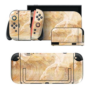 igsticker Nintendo Switch 2 �p �X�L���V�[�� �{�́E�h�b�N�EJoy-Con 2 �Ή� 4�ʃZ�b�g �������� �ی� �C�@�G��@�C���X�g 003223
