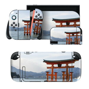 igsticker Nintendo Switch 2 �p �X�L���V�[�� �{�́E�h�b�N�EJoy-Con 2 �Ή� 4�ʃZ�b�g �������� �ی� �ʐ^�@�i�F�@���i 003288