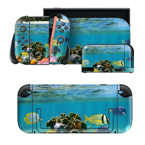 igsticker Nintendo Switch 2 �p �X�L���V�[�� �{�́E�h�b�N�EJoy-Con 2 �Ή� 4�ʃZ�b�g �������� �ی� �C�@�O���@�ʐ^�@�i�F 003328
