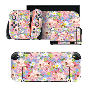 igsticker Nintendo Switch 2 �p �X�L���V�[�� �{�́E�h�b�N�EJoy-Con 2 �Ή� 4�ʃZ�b�g �������� �ی� �ԁ@�@�J���t�� 003601