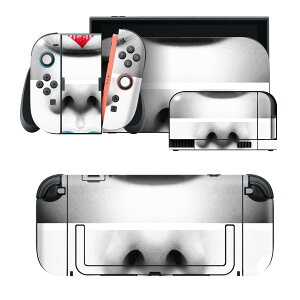igsticker Nintendo Switch 2 �p �X�L���V�[�� �{�́E�h�b�N�EJoy-Con 2 �Ή� 4�ʃZ�b�g �������� �ی� ���C�N�@�ʐ^�@���g�� 003607