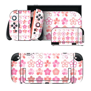 igsticker Nintendo Switch 2 �p �X�L���V�[�� �{�́E�h�b�N�EJoy-Con 2 �Ή� 4�ʃZ�b�g �������� �ی� �t �� �~ 020709
