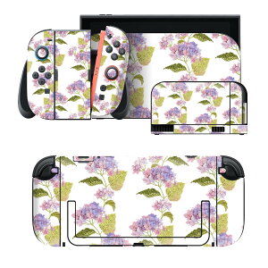 igsticker Nintendo Switch 2 �p �X�L���V�[�� �{�́E�h�b�N�EJoy-Con 2 �Ή� 4�ʃZ�b�g �������� �ی� �~�J ���z�� 020810