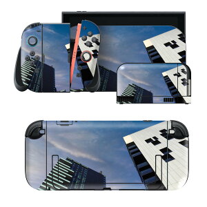 igsticker Nintendo Switch 2 �p �X�L���V�[�� �{�́E�h�b�N�EJoy-Con 2 �Ή� 4�ʃZ�b�g �������� �ی� �r���@�s�s�@�ʐ^ 022884