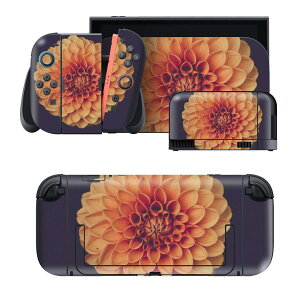 igsticker Nintendo Switch 2 �p �X�L���V�[�� �{�́E�h�b�N�EJoy-Con 2 �Ή� 4�ʃZ�b�g �������� �ی� �ԁ@�ʐ^ 022891