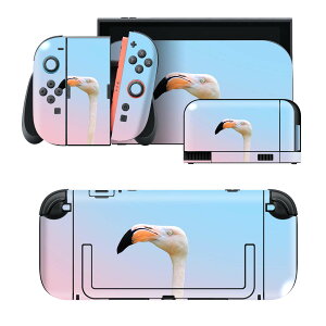 igsticker Nintendo Switch 2 �p �X�L���V�[�� �{�́E�h�b�N�EJoy-Con 2 �Ή� 4�ʃZ�b�g �������� �ی� �t���~���S�@�J���t���@�� 022982