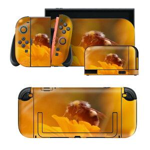 igsticker Nintendo Switch 2 �p �X�L���V�[�� �{�́E�h�b�N�EJoy-Con 2 �Ή� 4�ʃZ�b�g �������� �ی� �I�@�ԁ@�ʐ^ 023042