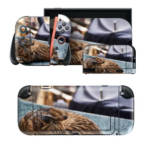 igsticker Nintendo Switch 2 �p �X�L���V�[�� �{�́E�h�b�N�EJoy-Con 2 �Ή� 4�ʃZ�b�g �������� �ی� �L�@�˂��@�����@���i�@�ʐ^ 023084