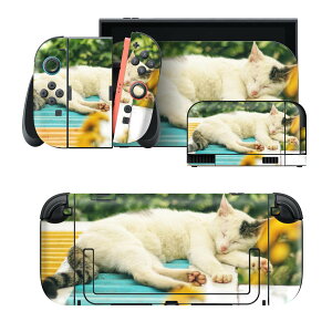 igsticker Nintendo Switch 2 �p �X�L���V�[�� �{�́E�h�b�N�EJoy-Con 2 �Ή� 4�ʃZ�b�g �������� �ی� �L�@�˂��@�����@�ʐ^ 023095