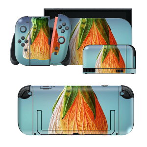 igsticker Nintendo Switch 2 �p �X�L���V�[�� �{�́E�h�b�N�EJoy-Con 2 �Ή� 4�ʃZ�b�g �������� �ی� �ԁ@�t�����[ 023293