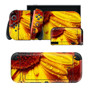 igsticker Nintendo Switch 2 �p �X�L���V�[�� �{�́E�h�b�N�EJoy-Con 2 �Ή� 4�ʃZ�b�g �������� �ی� �ԁ@�t�����[�@�Ђ܂�� 023300