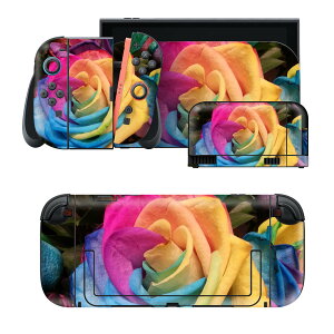 igsticker Nintendo Switch 2 �p �X�L���V�[�� �{�́E�h�b�N�EJoy-Con 2 �Ή� 4�ʃZ�b�g �������� �ی� �ԁ@�t�����[�@�K�N�@���C���{�[ 023311