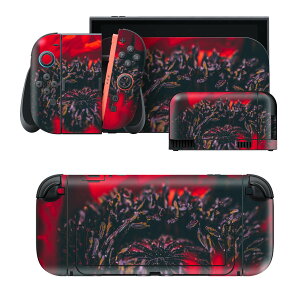igsticker Nintendo Switch 2 �p �X�L���V�[�� �{�́E�h�b�N�EJoy-Con 2 �Ή� 4�ʃZ�b�g �������� �ی� �ԁ@�t�����[�@�ʐ^ 023330