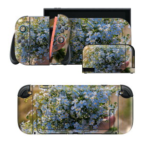 igsticker Nintendo Switch 2 �p �X�L���V�[�� �{�́E�h�b�N�EJoy-Con 2 �Ή� 4�ʃZ�b�g �������� �ی� �ԁ@�t�����[�@�ʐ^ 023373