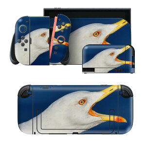 igsticker Nintendo Switch 2 �p �X�L���V�[�� �{�́E�h�b�N�EJoy-Con 2 �Ή� 4�ʃZ�b�g �������� �ی� ���@�������@�ʐ^ 023414