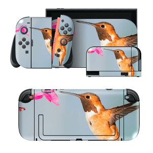 igsticker Nintendo Switch 2 �p �X�L���V�[�� �{�́E�h�b�N�EJoy-Con 2 �Ή� 4�ʃZ�b�g �������� �ی� ���@�ԁ@�ʐ^ 023447