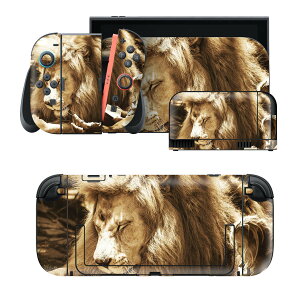igsticker Nintendo Switch 2 �p �X�L���V�[�� �{�́E�h�b�N�EJoy-Con 2 �Ή� 4�ʃZ�b�g �������� �ی� ���C�I���@�l���@���� 023540