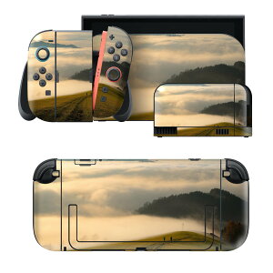 igsticker Nintendo Switch 2 �p �X�L���V�[�� �{�́E�h�b�N�EJoy-Con 2 �Ή� 4�ʃZ�b�g �������� �ی� �i�F�@�R�@�_ 023596