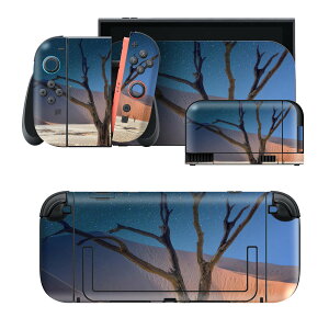 igsticker Nintendo Switch 2 �p �X�L���V�[�� �{�́E�h�b�N�EJoy-Con 2 �Ή� 4�ʃZ�b�g �������� �ی� �i�F�@�R�@�� 023599