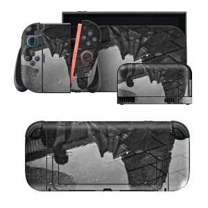 igsticker Nintendo Switch 2 �p �X�L���V�[�� �{�́E�h�b�N�EJoy-Con 2 �Ή� 4�ʃZ�b�g �������� �ی� �����܂�@�J�@�ʐ^ 023711