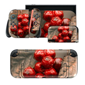 igsticker Nintendo Switch 2 �p �X�L���V�[�� �{�́E�h�b�N�EJoy-Con 2 �Ή� 4�ʃZ�b�g �������� �ی� �؂̎��@�ʐ^�@�A�� 023715