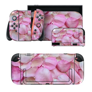 igsticker Nintendo Switch 2 �p �X�L���V�[�� �{�́E�h�b�N�EJoy-Con 2 �Ή� 4�ʃZ�b�g �������� �ی� �Ԃт�@�t�����[ 023743