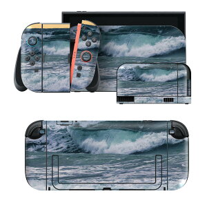 igsticker Nintendo Switch 2 �p �X�L���V�[�� �{�́E�h�b�N�EJoy-Con 2 �Ή� 4�ʃZ�b�g �������� �ی� �C�@�ʐ^�@�g 023773