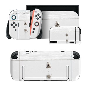 igsticker Nintendo Switch 2 �p �X�L���V�[�� �{�́E�h�b�N�EJoy-Con 2 �Ή� 4�ʃZ�b�g �������� �ی� ���@�����@�C 023779