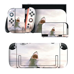 igsticker Nintendo Switch 2 �p �X�L���V�[�� �{�́E�h�b�N�EJoy-Con 2 �Ή� 4�ʃZ�b�g �������� �ی� �T���@�C 023785