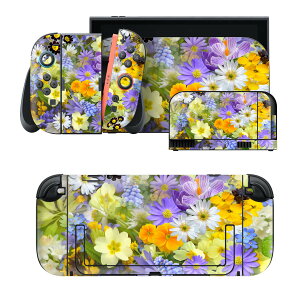igsticker Nintendo Switch 2 �p �X�L���V�[�� �{�́E�h�b�N�EJoy-Con 2 �Ή� 4�ʃZ�b�g �������� �ی� �ԁ@�t�����[�@�J���t�� 023827